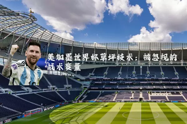 美加墨世界杯草坪技术:被忽视的战术变量